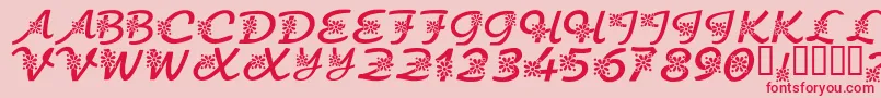 KrFloralScript Font – Red Fonts on Pink Background