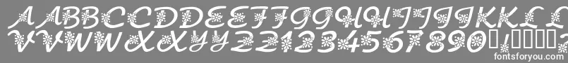 フォントKrFloralScript – 灰色の背景に白い文字