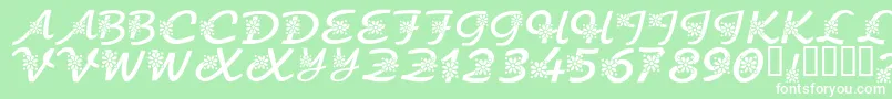 KrFloralScript Font – White Fonts on Green Background