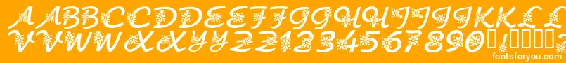 フォントKrFloralScript – オレンジの背景に白い文字