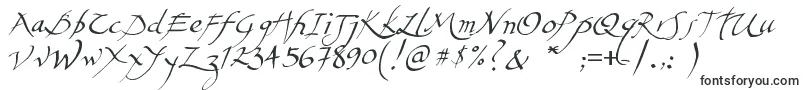 Aerofoil Font – Calligraphic Fonts