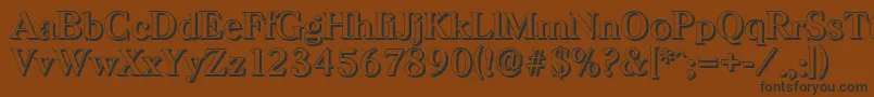 HorshamshadowRegular Font – Black Fonts on Brown Background