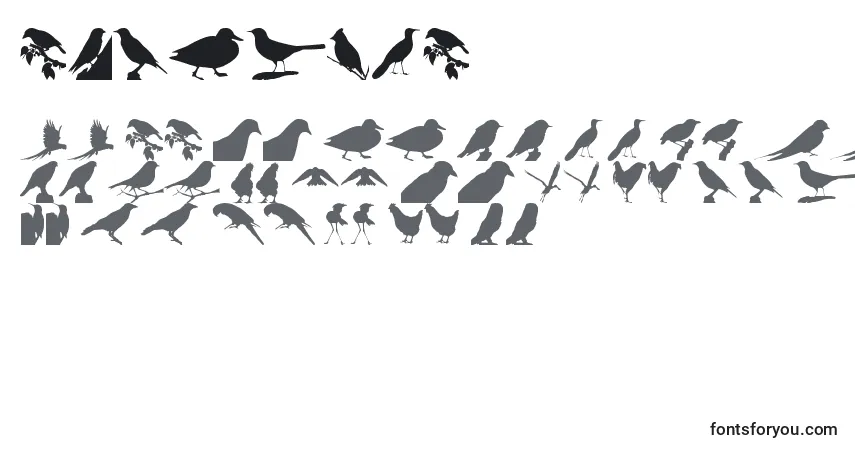 A fonte BirdsTfb – alfabeto, números, caracteres especiais
