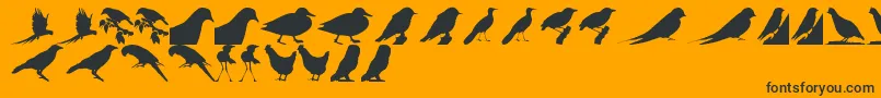 BirdsTfb-Schriftart – Schwarze Schriften auf orangefarbenem Hintergrund