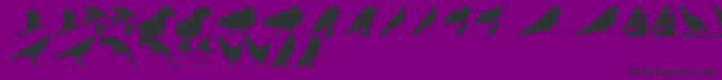 BirdsTfb Font – Black Fonts on Purple Background