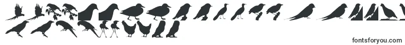 Шрифт BirdsTfb – стильные шрифты