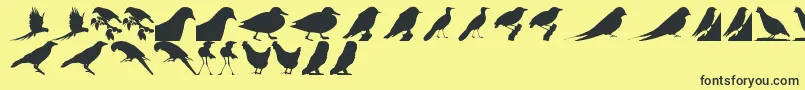 BirdsTfb-Schriftart – Schwarze Schriften auf gelbem Hintergrund