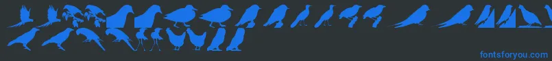 BirdsTfb Font – Blue Fonts on Black Background