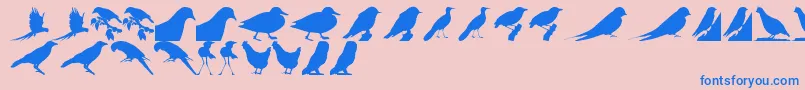 BirdsTfb Font – Blue Fonts on Pink Background