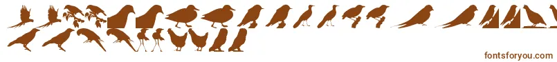 BirdsTfb Font – Brown Fonts on White Background