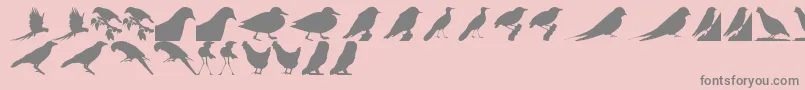 BirdsTfb-Schriftart – Graue Schriften auf rosa Hintergrund