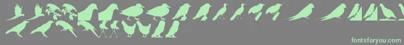 BirdsTfb Font – Green Fonts on Gray Background