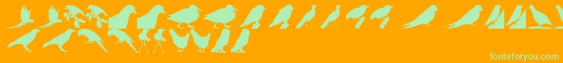 BirdsTfb-Schriftart – Grüne Schriften auf orangefarbenem Hintergrund