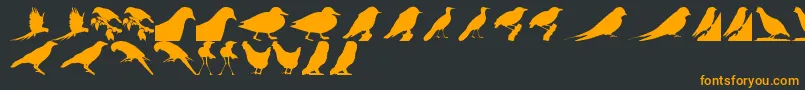 BirdsTfb Font – Orange Fonts on Black Background