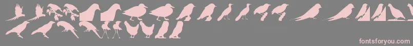 BirdsTfb Font – Pink Fonts on Gray Background