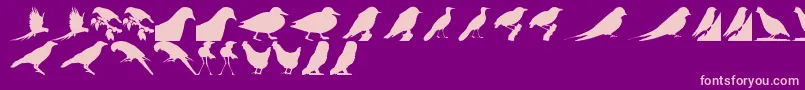 fuente BirdsTfb – Fuentes Rosadas Sobre Fondo Morado