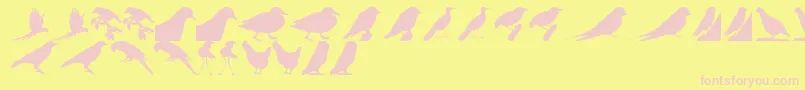 fuente BirdsTfb – Fuentes Rosadas Sobre Fondo Amarillo