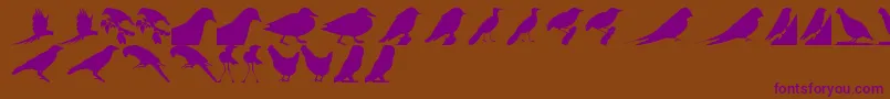 BirdsTfb Font – Purple Fonts on Brown Background