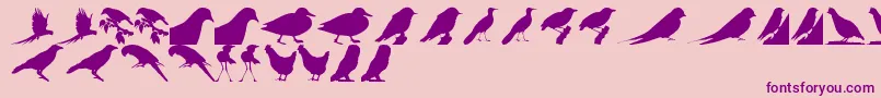 Police BirdsTfb – polices violettes sur fond rose