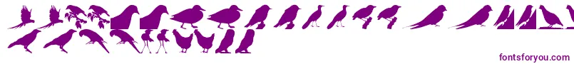 BirdsTfb-Schriftart – Violette Schriften auf weißem Hintergrund