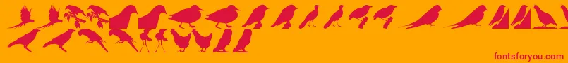 BirdsTfb Font – Red Fonts on Orange Background