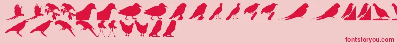 BirdsTfb-Schriftart – Rote Schriften auf rosa Hintergrund