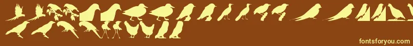 BirdsTfb Font – Yellow Fonts on Brown Background