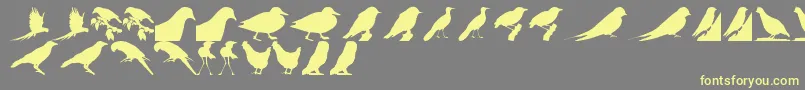 BirdsTfb Font – Yellow Fonts on Gray Background