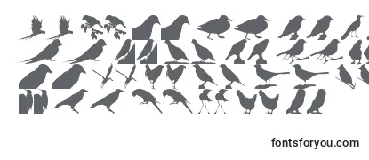 Обзор шрифта BirdsTfb