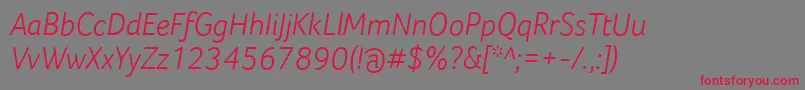 フォントFocoLightItalic – 赤い文字の灰色の背景