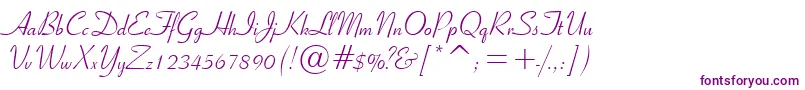 RibbonScript Font – Purple Fonts on White Background