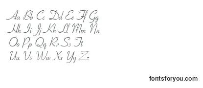 RibbonScript Font