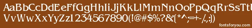 Wandssk Font – White Fonts on Brown Background