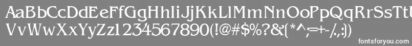 Wandssk Font – White Fonts on Gray Background