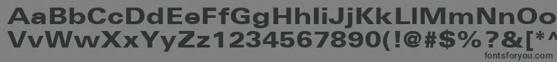 UniversLt73BlackExtended Font – Black Fonts on Gray Background