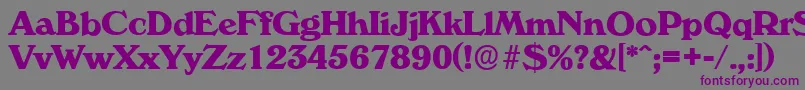 VeronaserialXboldRegular Font – Purple Fonts on Gray Background