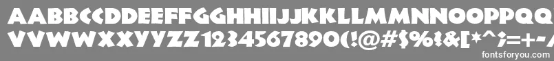 フォントNewlandBlack – 灰色の背景に白い文字