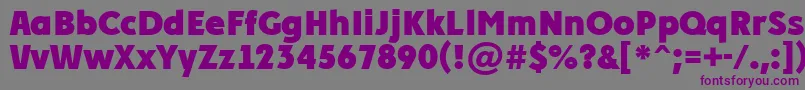 PlakatcmplExtrabold-fontti – violetit fontit harmaalla taustalla