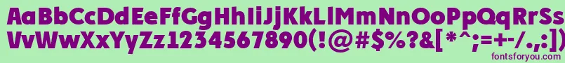 PlakatcmplExtrabold Font – Purple Fonts on Green Background