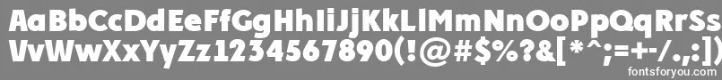 PlakatcmplExtrabold-fontti – valkoiset fontit harmaalla taustalla