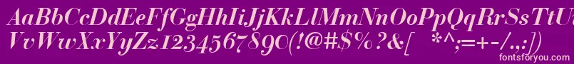 BodoniclassicBolditalic Font – Pink Fonts on Purple Background