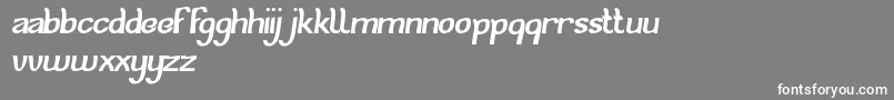 CatEyes Font – White Fonts on Gray Background