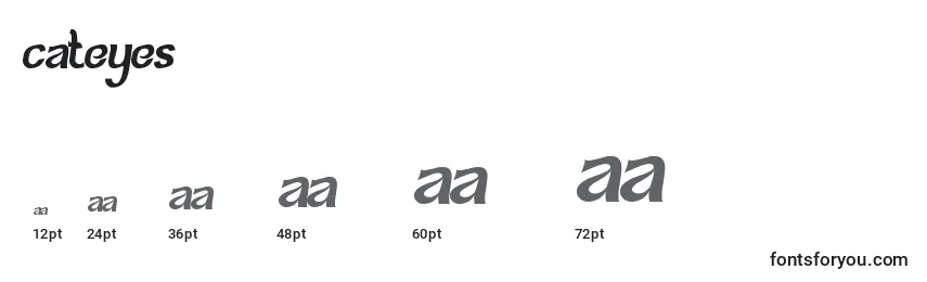 CatEyes Font Sizes