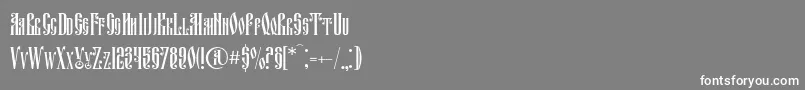 FitaVjaz Font – White Fonts on Gray Background