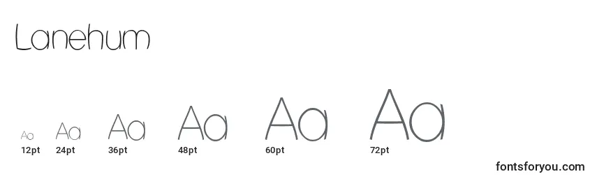 Lanehum Font Sizes
