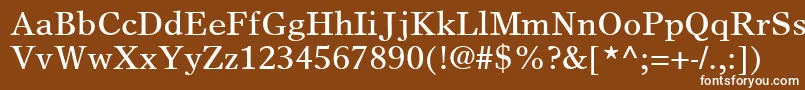 Шрифт GrecoEuropaSsi – белые шрифты на коричневом фоне