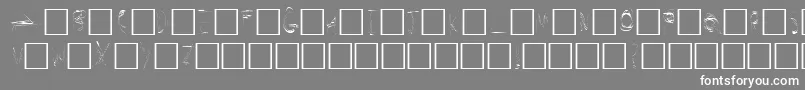SecretLabs Font – White Fonts on Gray Background