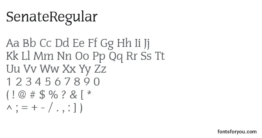 Czcionka SenateRegular – alfabet, cyfry, specjalne znaki