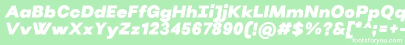 VillerayBlackitalic Font – White Fonts on Green Background