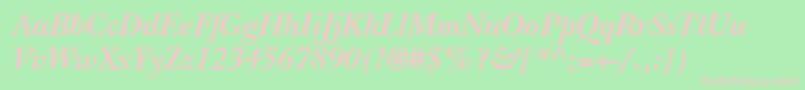 Police NebraskaBoldItalic – polices roses sur fond vert